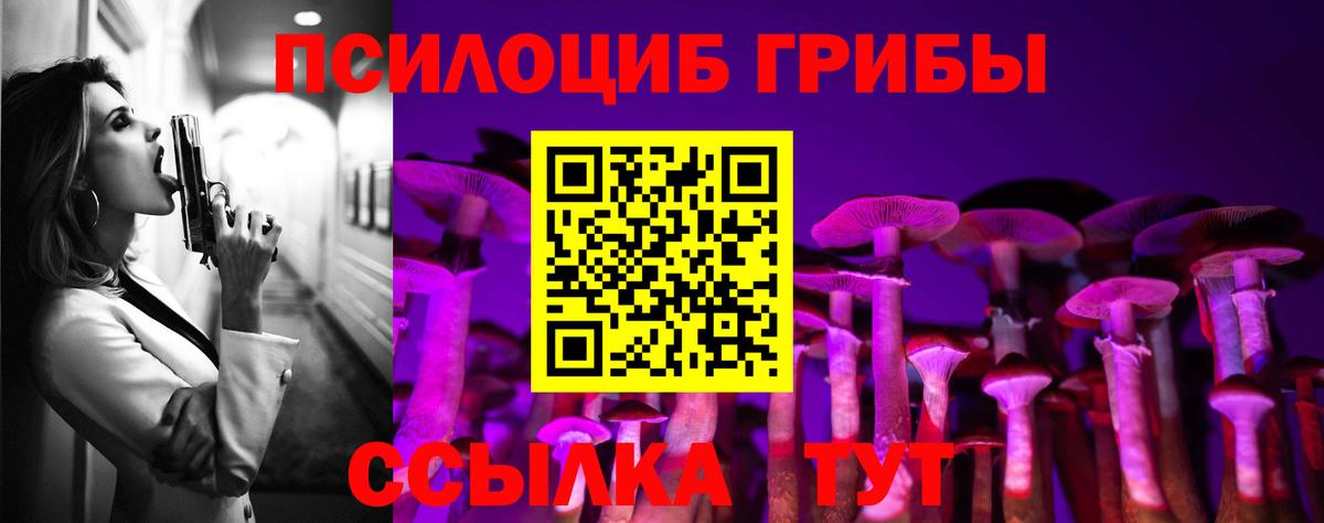 Псилоцибиновые грибы Magic Shrooms  Вход с VPN  хочу   Дербент 
